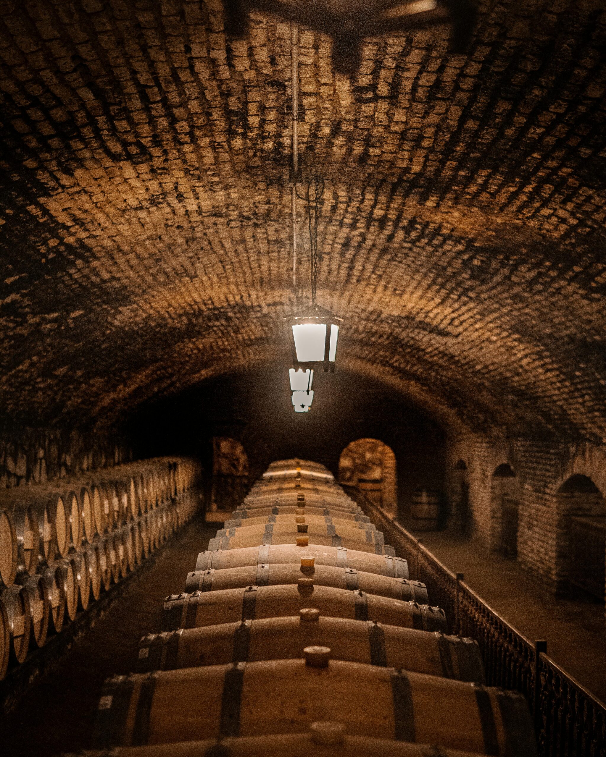 A dimly lit wine cellar in Maipo, Chile featuring rows of oak barrels maturing wine.