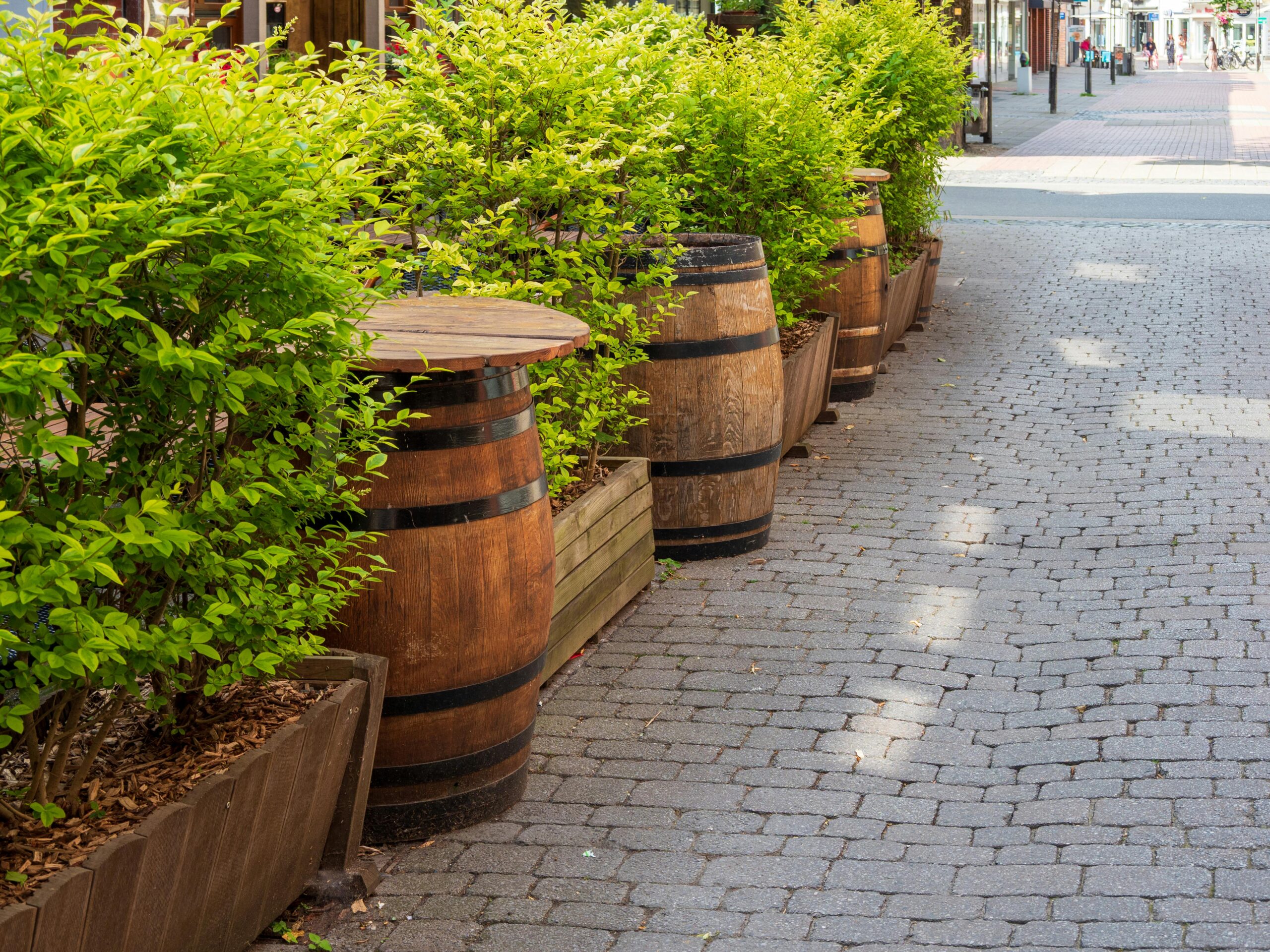 Charming outdoor café view with rustic wooden barrels and lush greenery lining a cobblestone street.
